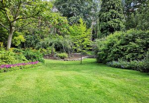 Optimiser l'expérience du jardin à Ansac-sur-Vienne