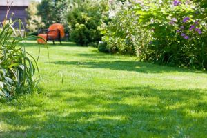 travaux jardin et paysage Ansac-sur-Vienne